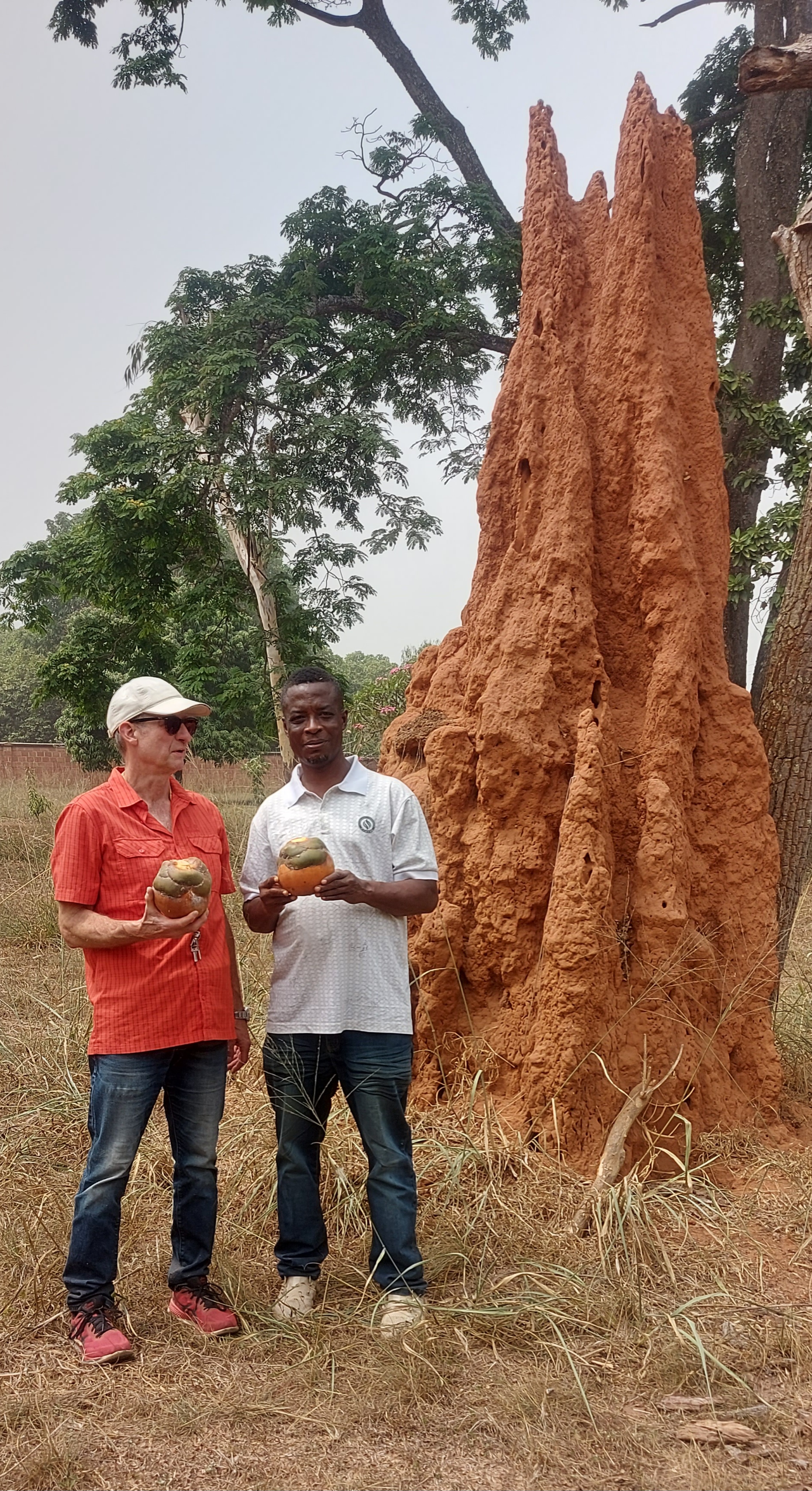 Ghanese begrafenis
