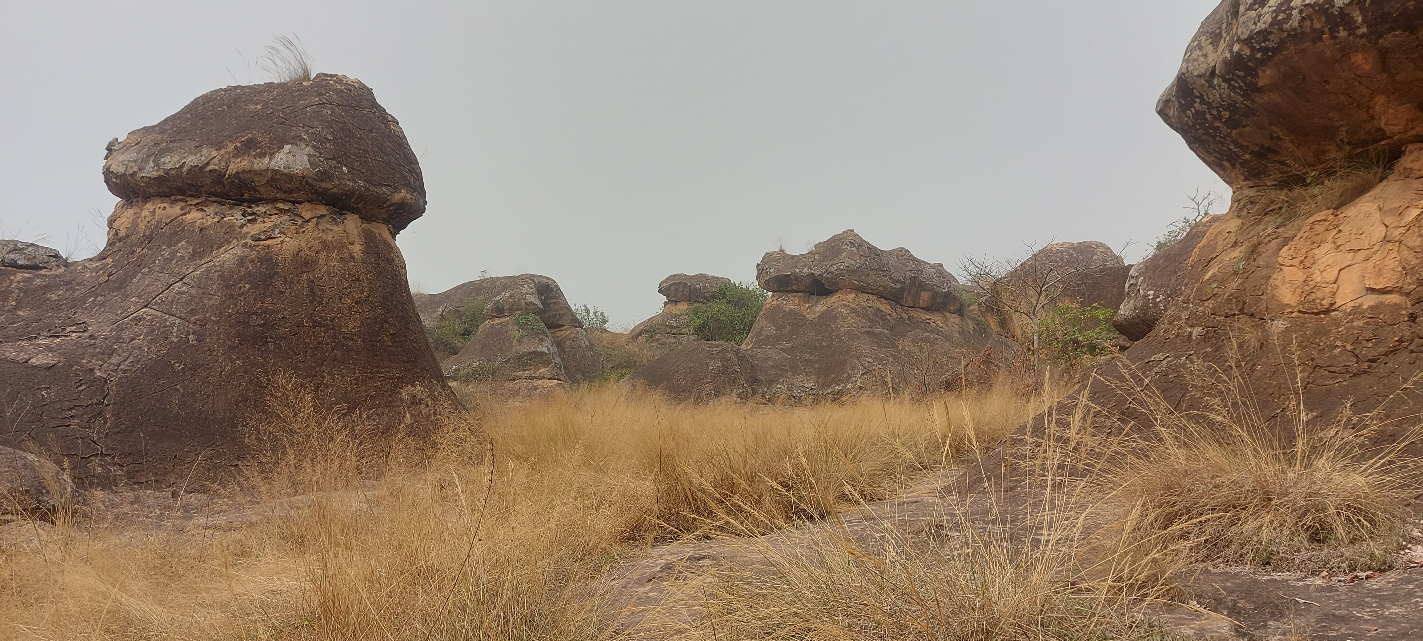 Ghanese begrafenis
