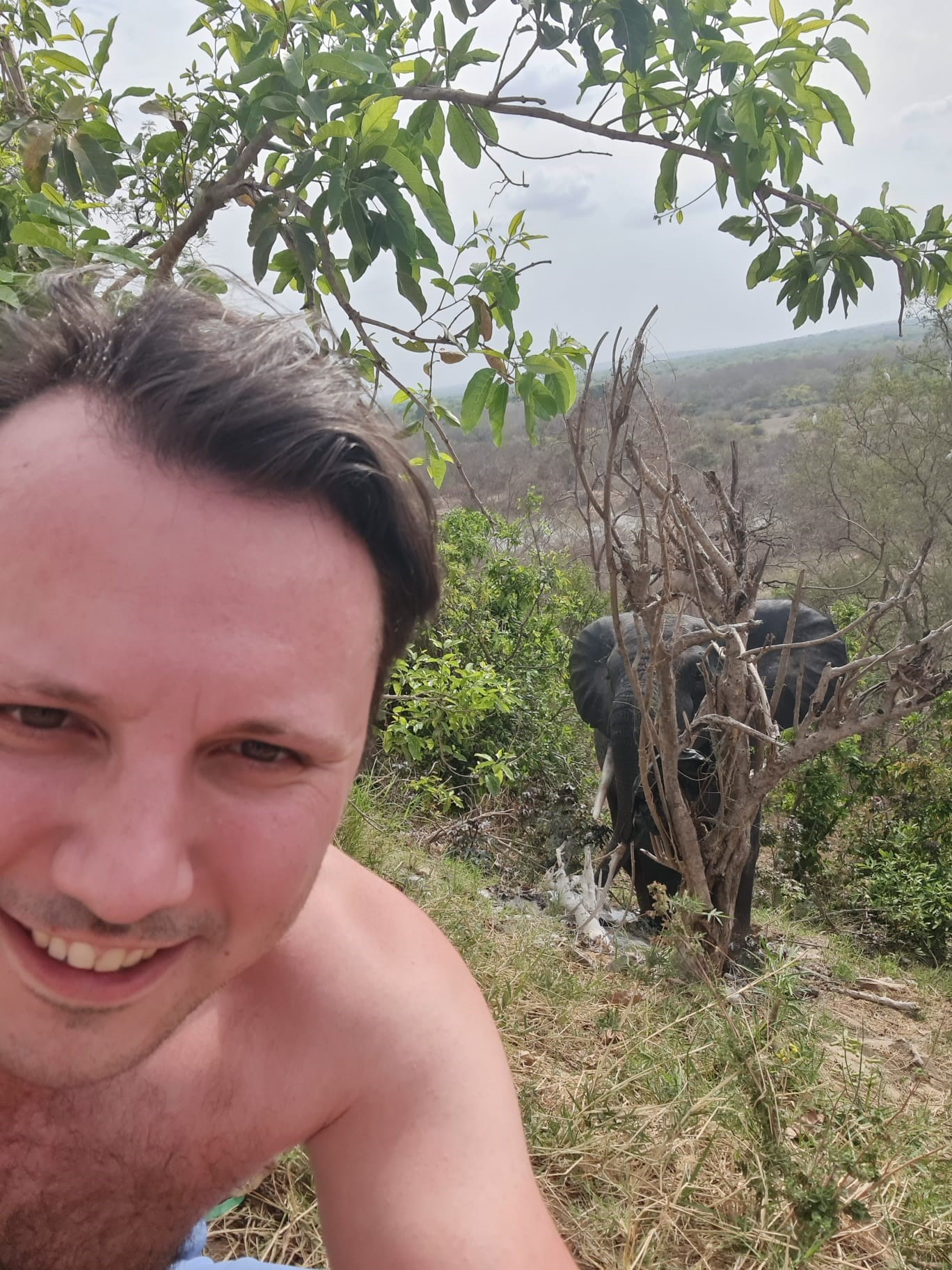 Oog in oog met een olifant