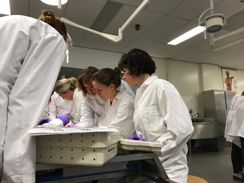 orthopedie multidisciplinaire onderwijsdag anatomie hand en pols