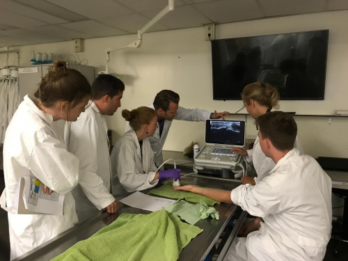 orthopedie multidisciplinaire onderwijsdag anatomie hand en pols